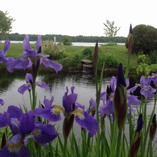 Gîte 40 Laverdure image 5