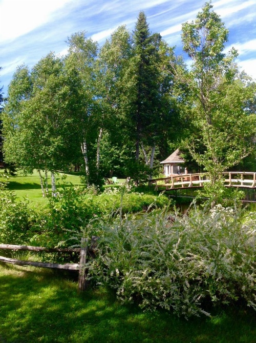 Gîte 40 Laverdure image 13