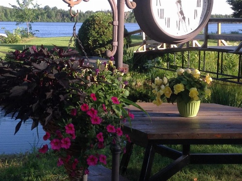 Gîte 40 Laverdure image 16