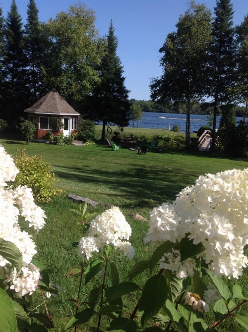 Gîte 40 Laverdure image 20