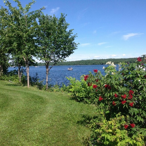 Gîte 40 Laverdure image 25