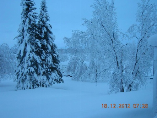 Gîte 40 Laverdure image 30