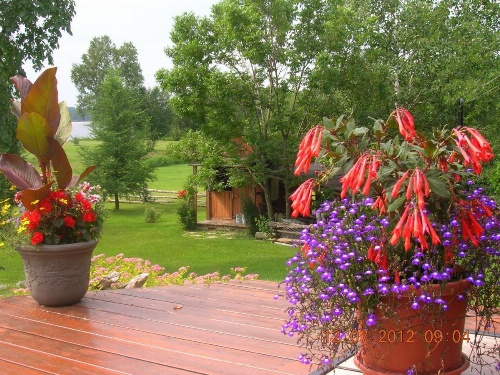 Gîte 40 Laverdure image 32