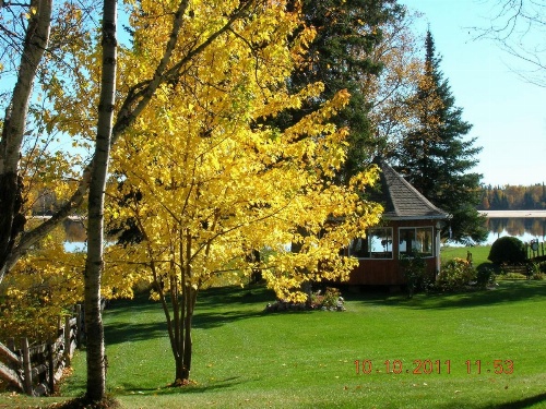 Gîte 40 Laverdure image 33