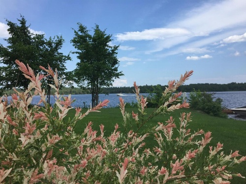 Gîte 40 Laverdure image 38